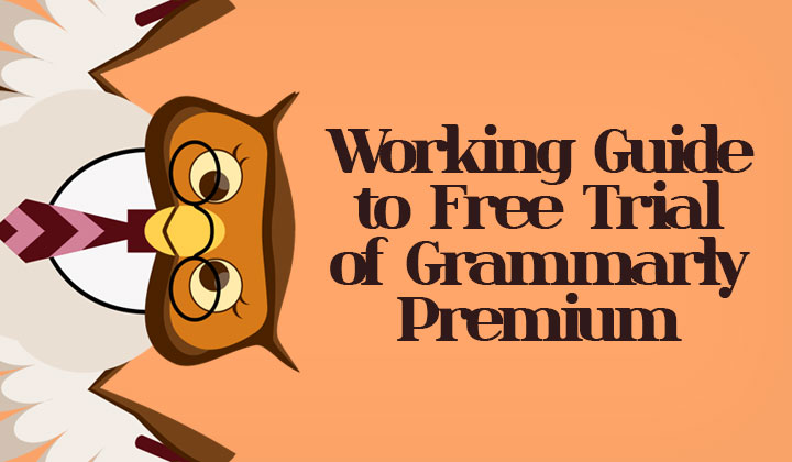 The Buzz on Grammarly Premium Free Trial