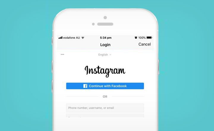 Instagram App Login